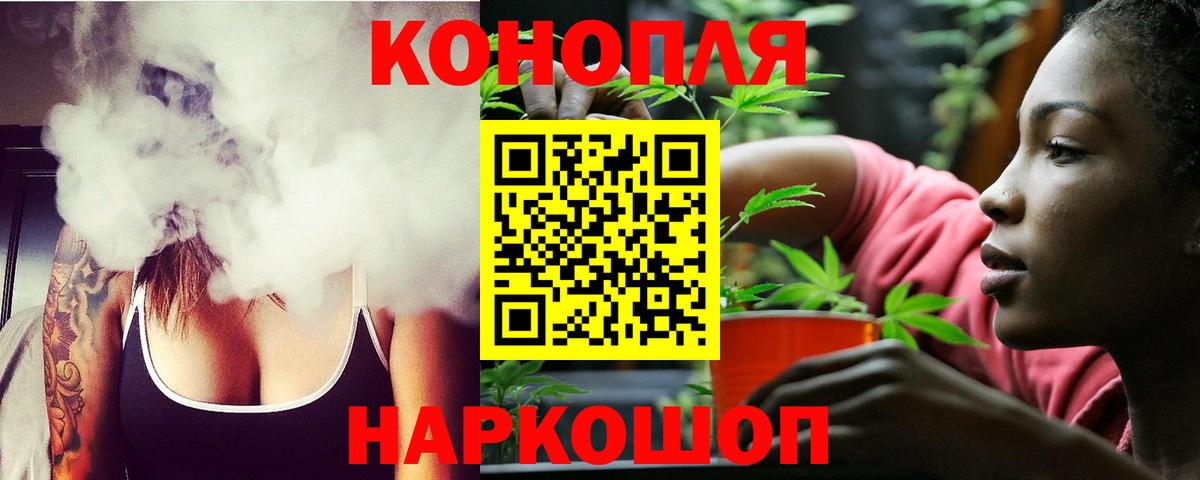 Конопля сатива Вязьма